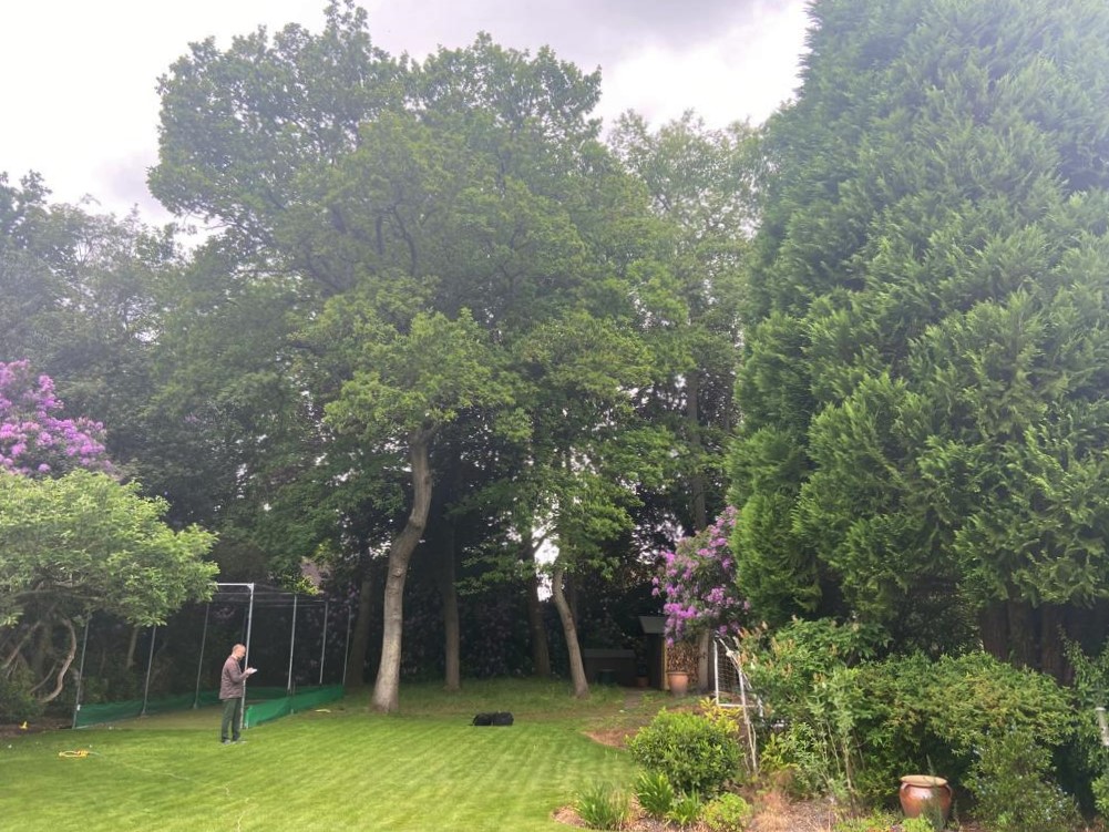 site survey, measuring garden space